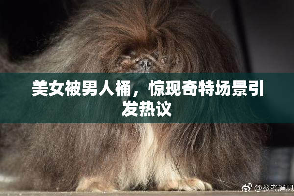 美女被男人桶，惊现奇特场景引发热议