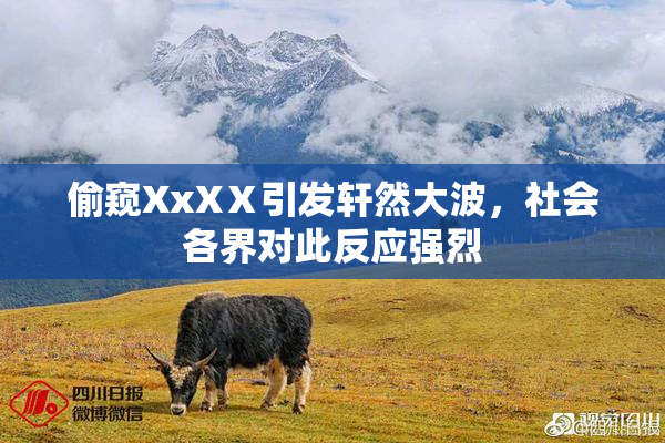 偷窥XxXⅩ引发轩然大波，社会各界对此反应强烈