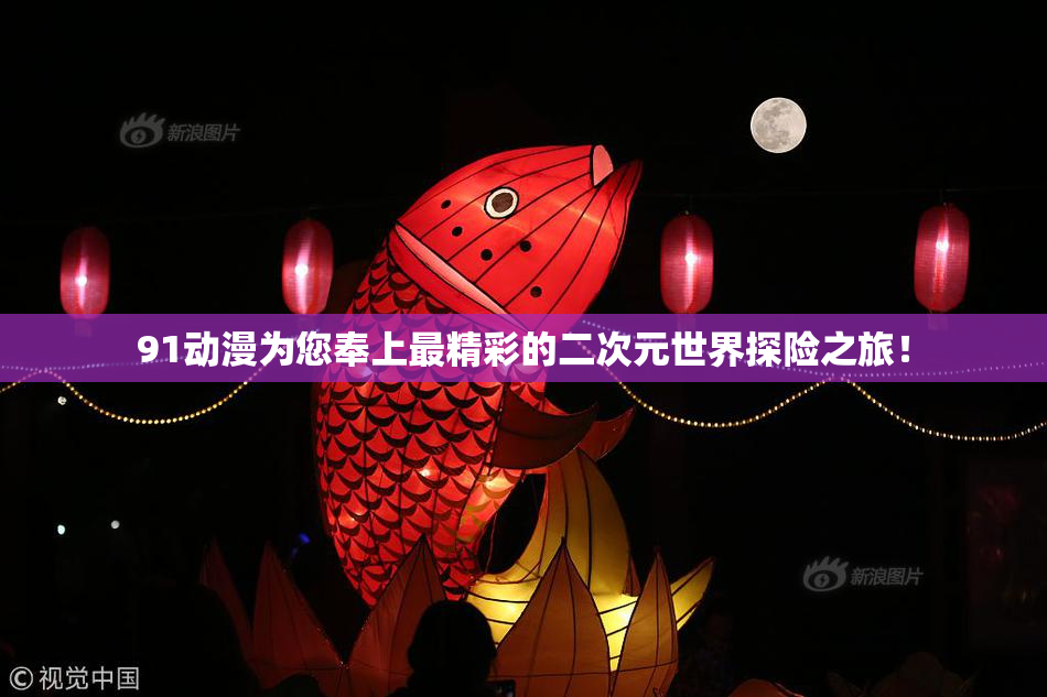 91动漫为您奉上最精彩的二次元世界探险之旅！