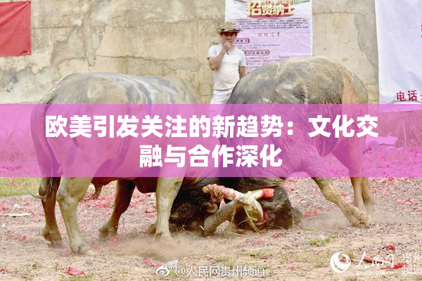 欧美引发关注的新趋势：文化交融与合作深化
