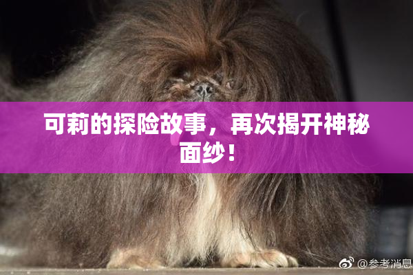 可莉的探险故事，再次揭开神秘面纱！
