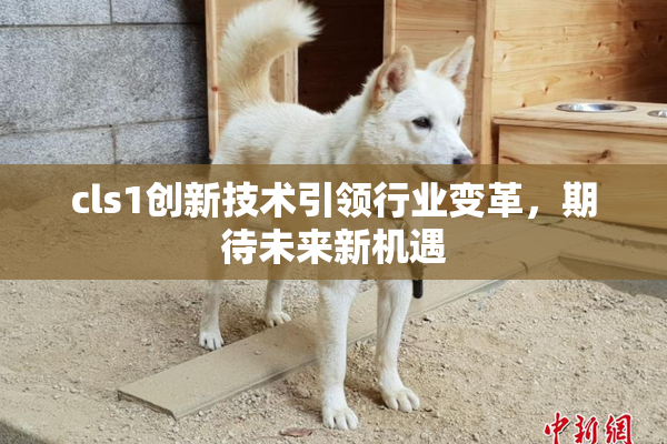 cls1创新技术引领行业变革，期待未来新机遇