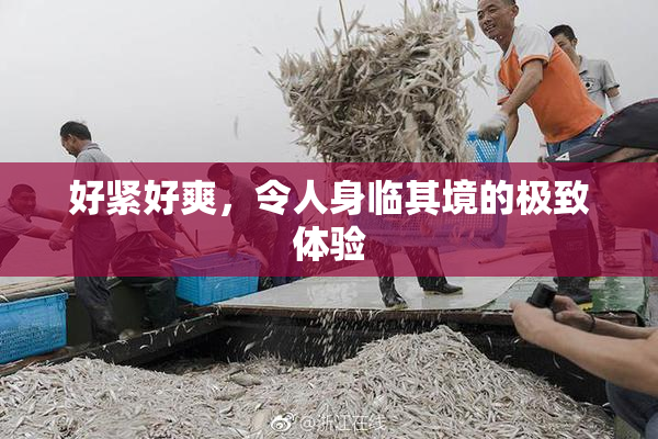 好紧好爽，令人身临其境的极致体验