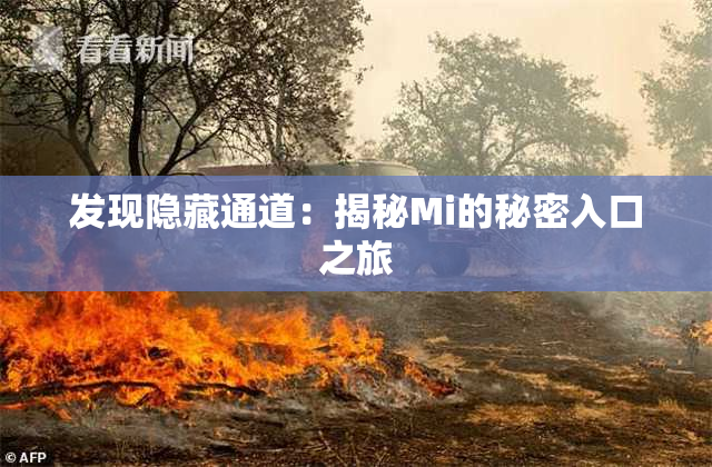 发现隐藏通道：揭秘Mi的秘密入口之旅