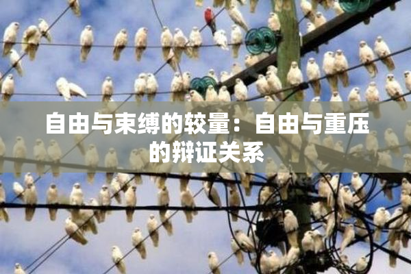 自由与束缚的较量：自由与重压的辩证关系