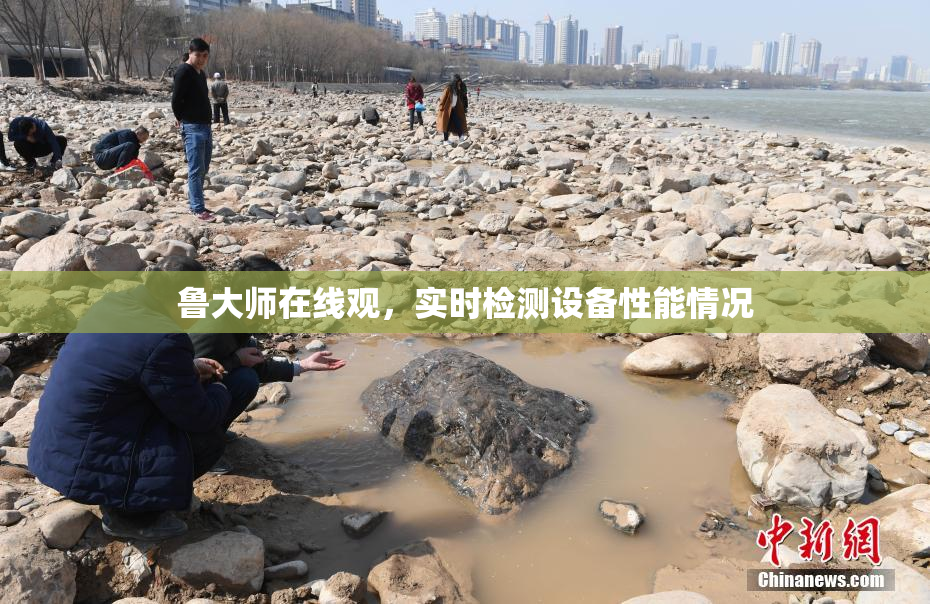 鲁大师在线观，实时检测设备性能情况
