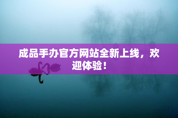成品手办官方网站全新上线，欢迎体验！