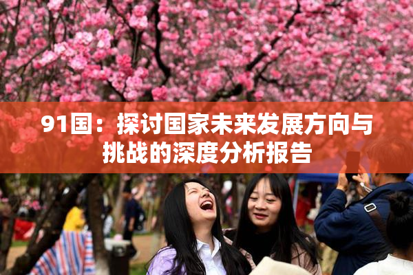 91国：探讨国家未来发展方向与挑战的深度分析报告