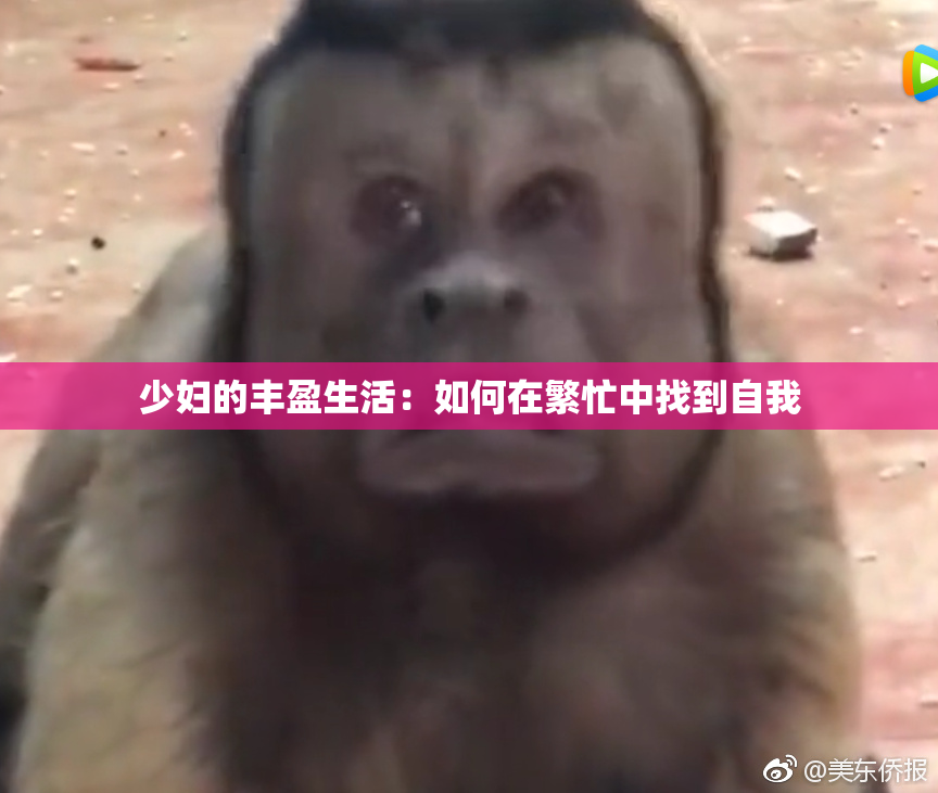 少妇的丰盈生活：如何在繁忙中找到自我