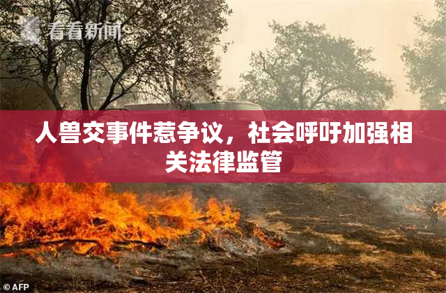 人兽交事件惹争议，社会呼吁加强相关法律监管