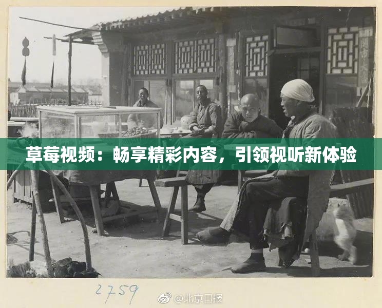 草莓视频：畅享精彩内容，引领视听新体验