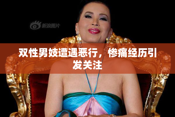 双性男妓遭遇恶行，惨痛经历引发关注