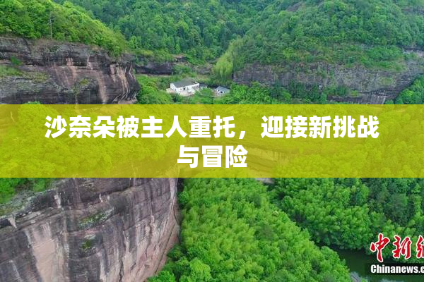 沙奈朵被主人重托，迎接新挑战与冒险