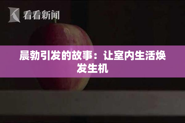 晨勃引发的故事：让室内生活焕发生机