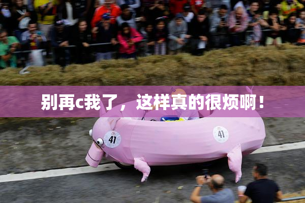 别再c我了，这样真的很烦啊！