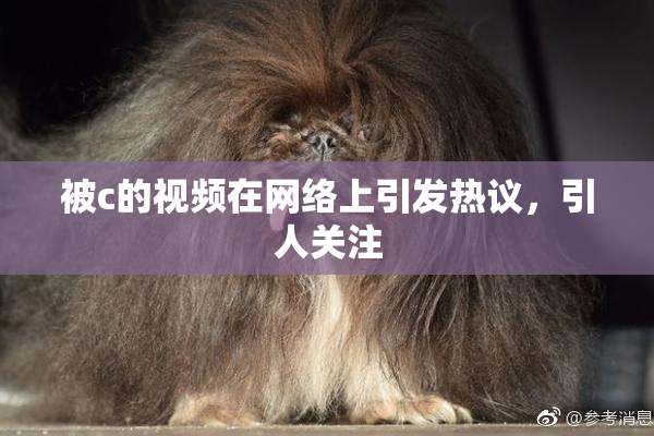 被c的视频在网络上引发热议，引人关注