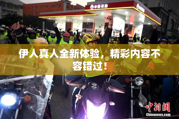 伊人真人全新体验，精彩内容不容错过！