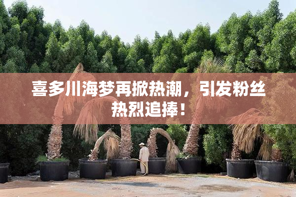 喜多川海梦再掀热潮，引发粉丝热烈追捧！