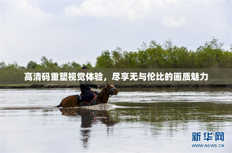 高清码重塑视觉体验，尽享无与伦比的画质魅力
