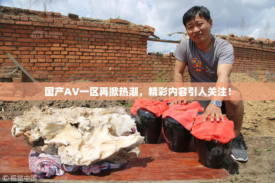 国产AV一区再掀热潮，精彩内容引人关注！