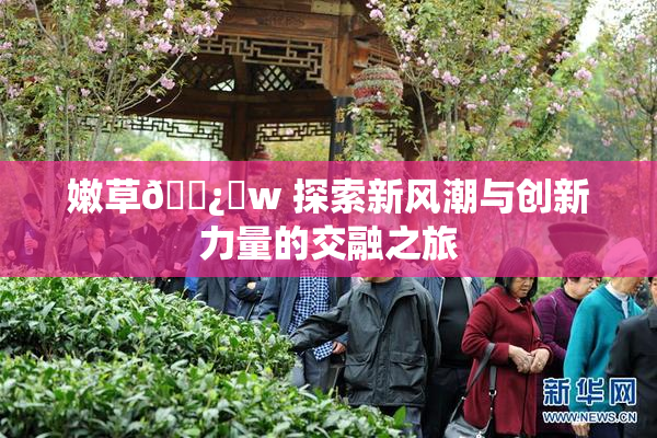 嫩草🌿‌w 探索新风潮与创新力量的交融之旅