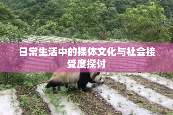 日常生活中的裸体文化与社会接受度探讨