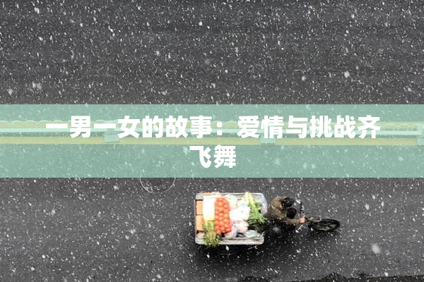 一男一女的故事：爱情与挑战齐飞舞