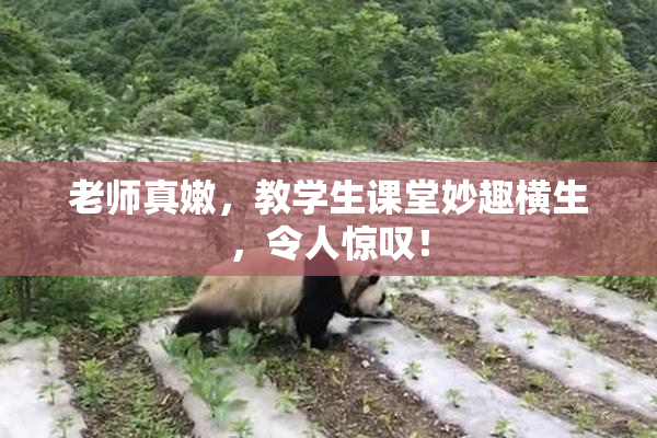 老师真嫩，教学生课堂妙趣横生，令人惊叹！