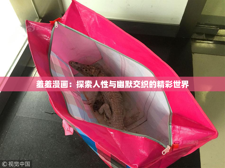 羞羞漫画：探索人性与幽默交织的精彩世界