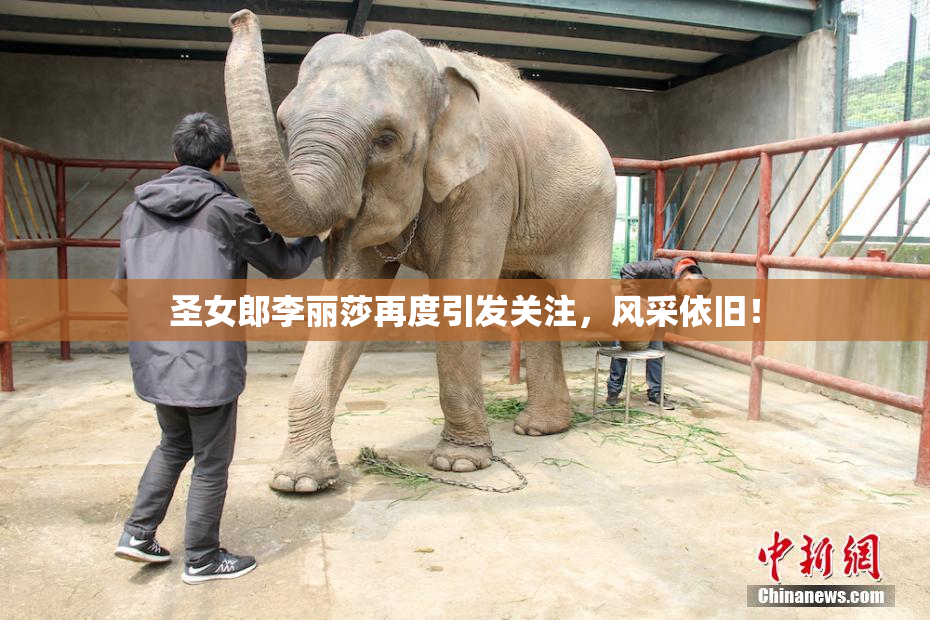 圣女郎李丽莎再度引发关注，风采依旧！