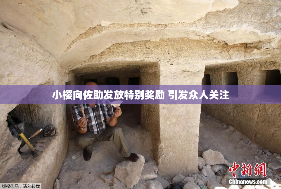 小樱向佐助发放特别奖励 引发众人关注