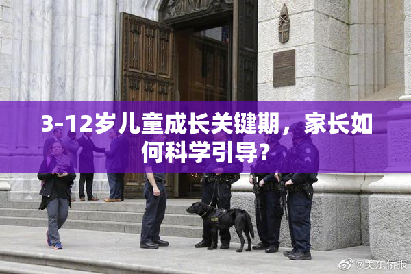 3-12岁儿童成长关键期，家长如何科学引导？