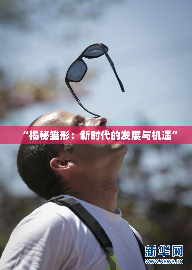 “揭秘雏形：新时代的发展与机遇”