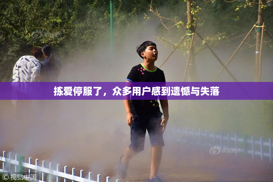 拣爱停服了，众多用户感到遗憾与失落