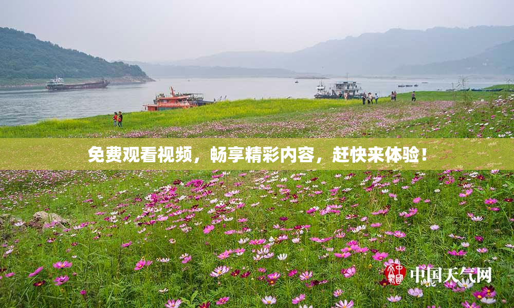 免费观看视频，畅享精彩内容，赶快来体验！