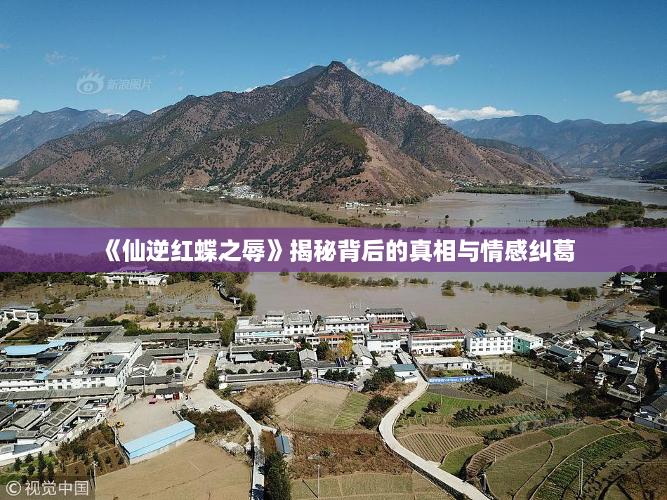 《仙逆红蝶之辱》揭秘背后的真相与情感纠葛