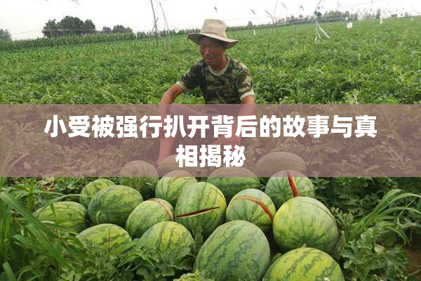 小受被强行扒开背后的故事与真相揭秘