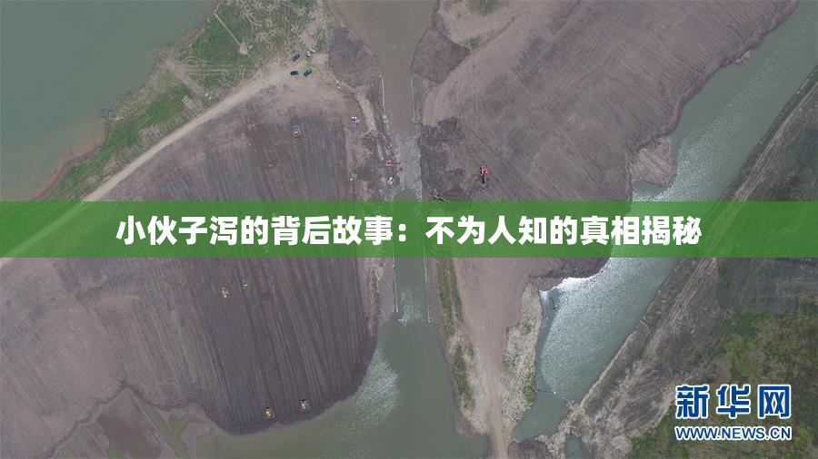 小伙子泻的背后故事：不为人知的真相揭秘