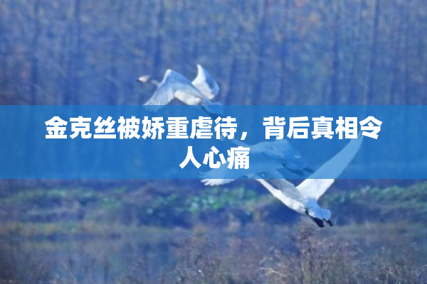 金克丝被娇重虐待，背后真相令人心痛