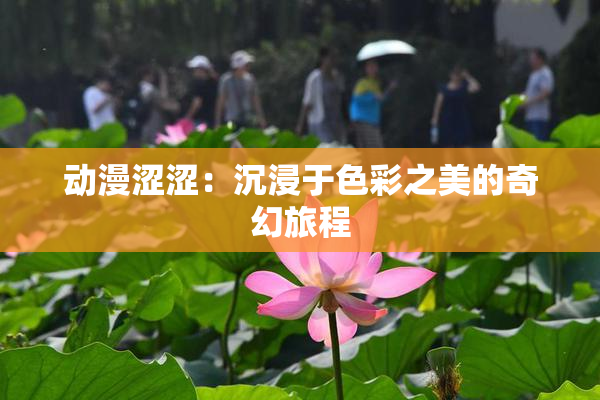 动漫涩涩：沉浸于色彩之美的奇幻旅程