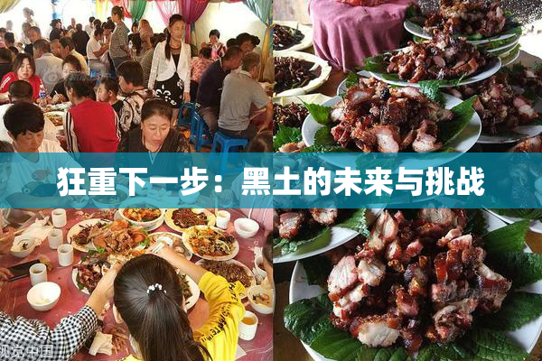 狂重下一步：黑土的未来与挑战