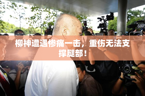 柳神遭遇惨痛一击，重伤无法支撑腿部！