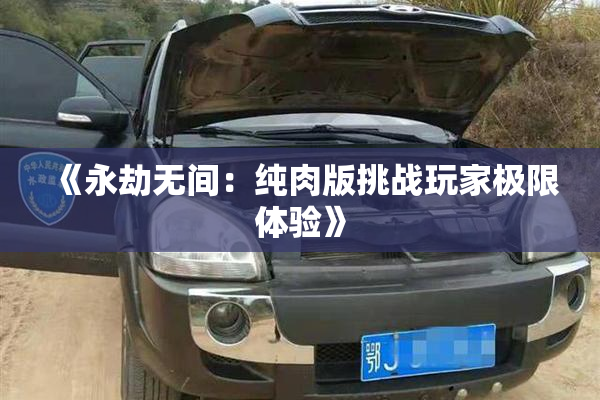 《永劫无间：纯肉版挑战玩家极限体验》