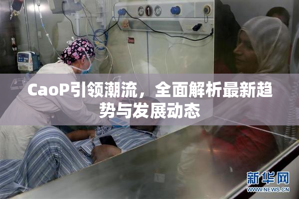 CaoP引领潮流，全面解析最新趋势与发展动态