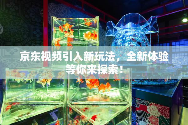 京东视频引入新玩法，全新体验等你来探索！