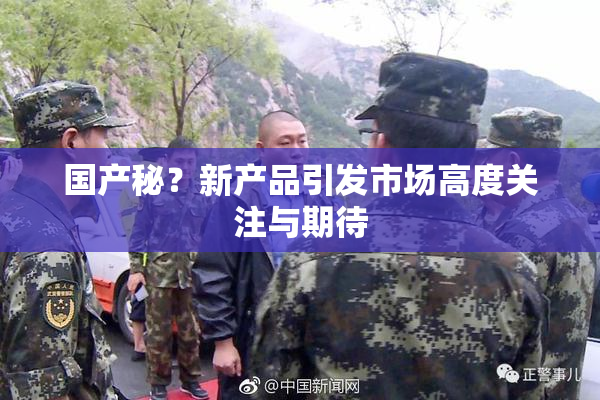 国产秘？新产品引发市场高度关注与期待
