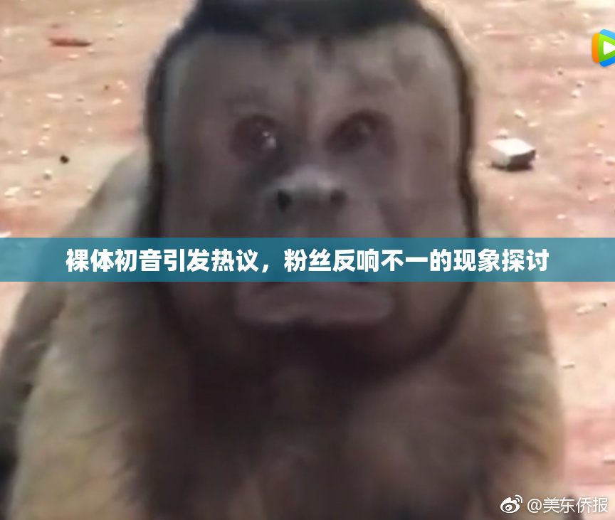 裸体初音引发热议，粉丝反响不一的现象探讨