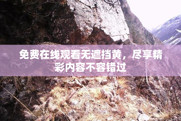 免费在线观看无遮挡黄，尽享精彩内容不容错过