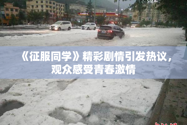 《征服同学》精彩剧情引发热议，观众感受青春激情