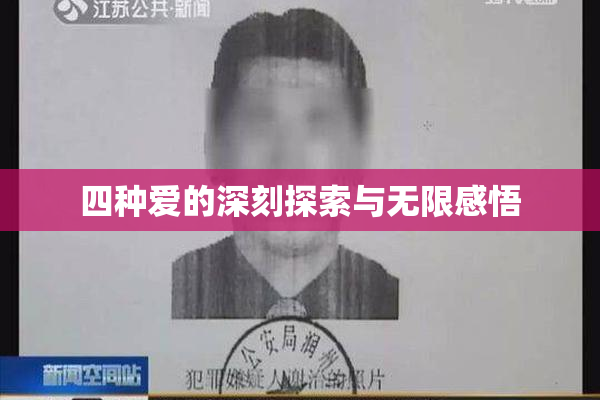 四种爱的深刻探索与无限感悟